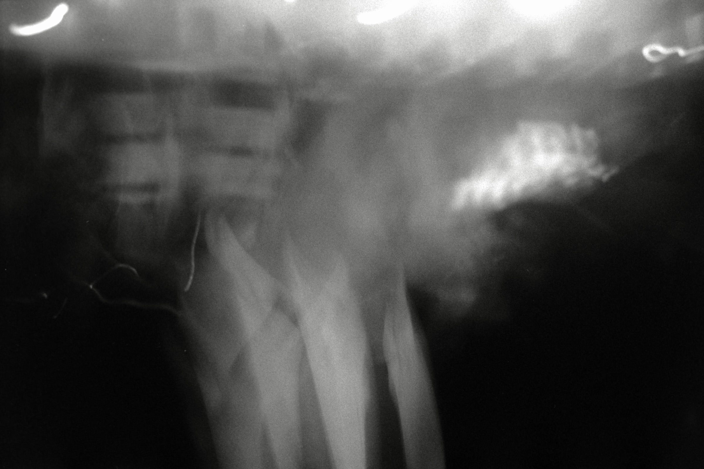 AHP F1998 05 002 sc240815 img03 NLP